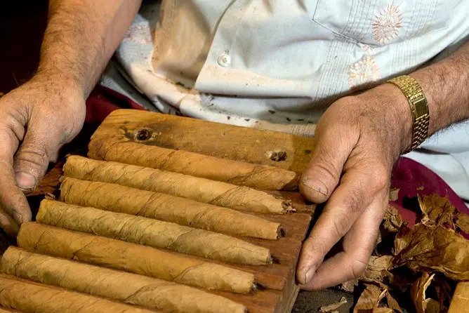 RD lidera exportación global de tabaco premium con más de 8,400 millones de cigarros al año