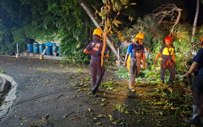 Bomberos retiran 21 árboles caídos tras ráfagas de viento en el Distrito Nacional