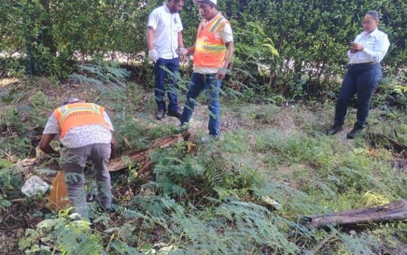 Agricultura inicia pago de RD$59.6 millones a personal de programas fitosanitarios