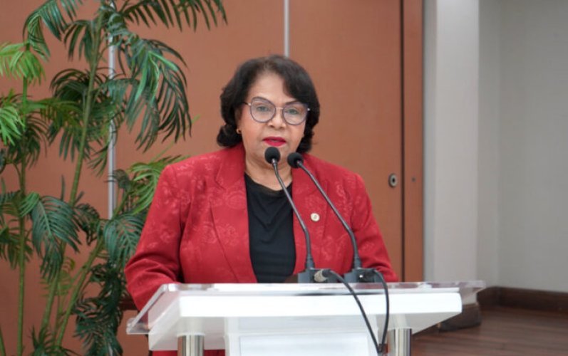 Presidenta de la Cámara de Cuentas afirma que aumento salarial respondía a incentivo y destaca resultados de gestión