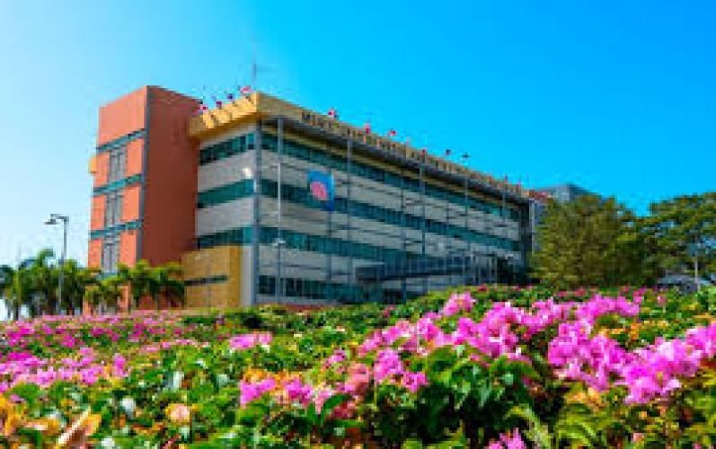 Imagen de la noticia