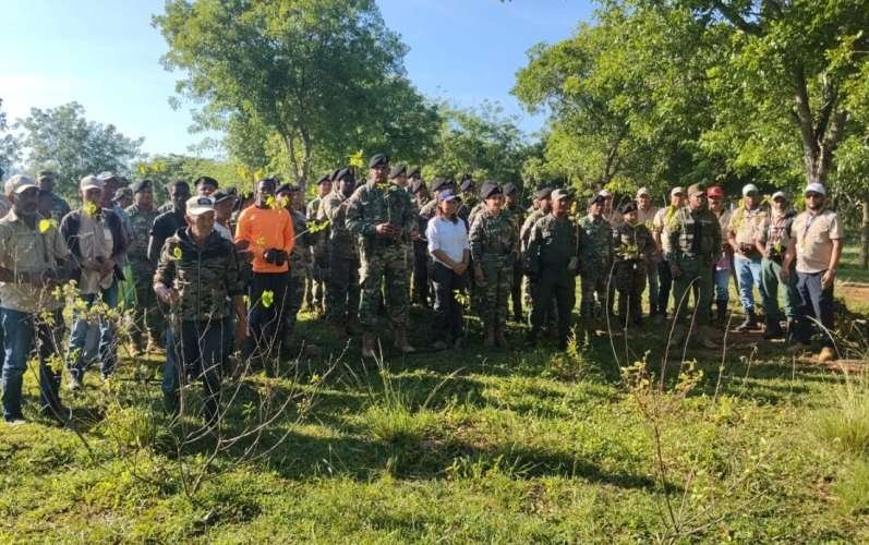 Realizan jornada de reforestación en Dajabón por el Día Nacional del Árbol