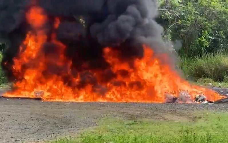 Inacif destruye más de 1,400 kilogramos de drogas ocupadas en operativos
