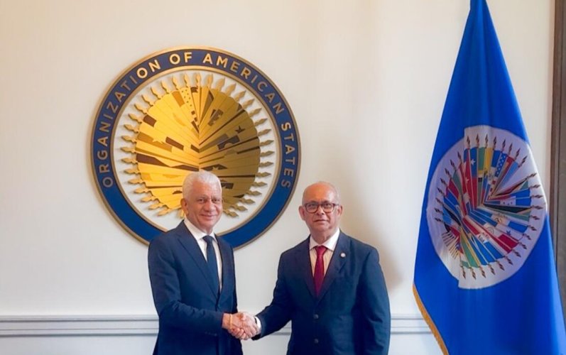 Senado y OEA analizan estrategias regionales para enfrentar el avance de las drogas sintéticas