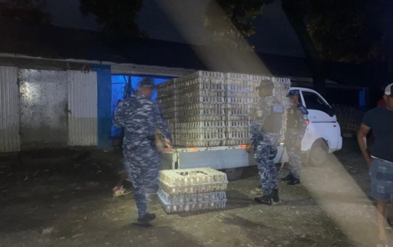 Recuperan 632 pollos robados y arrestan a cinco personas en La Vega