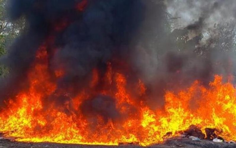 Inacif destruye más de dos toneladas de drogas; cocaína encabezó los decomisos