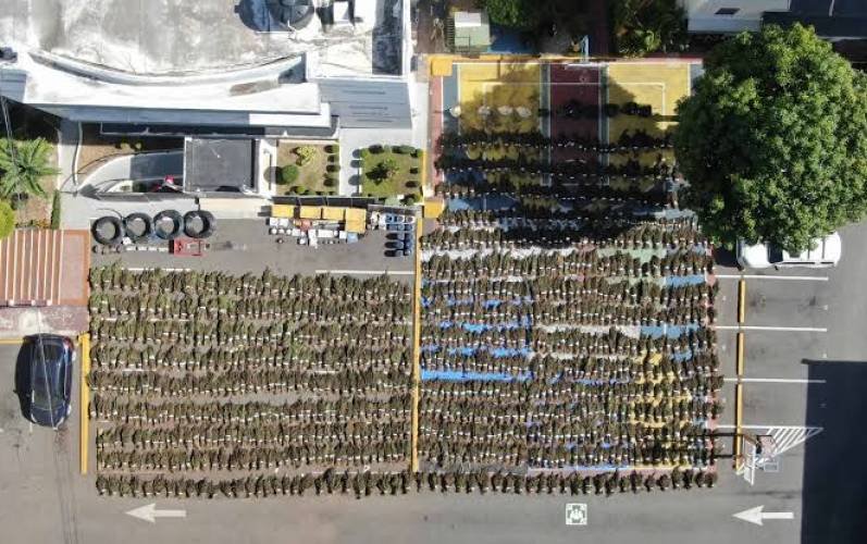 Autoridades intervienen siembra de más de 15,000 plantas de marihuana en San José de Ocoa
