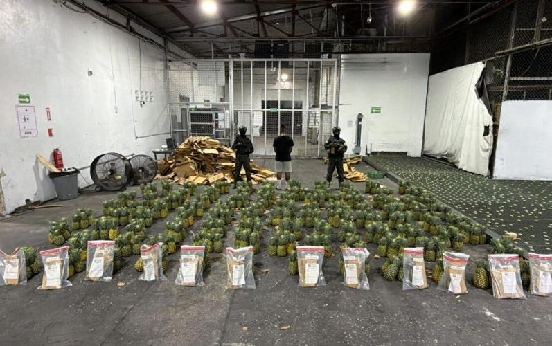 DNCD ocupa 121 láminas de presunta cocaína ocultas en cargamento de piñas en el AILA