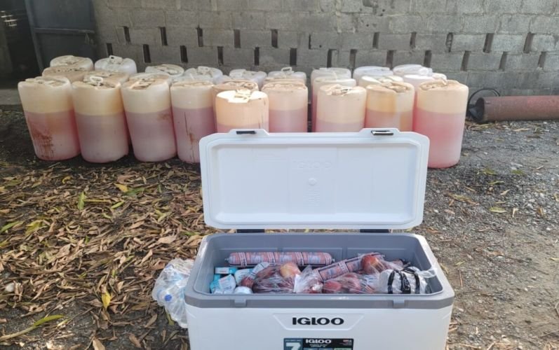 Capturan a tres presuntos integrantes de red de narcotráfico; ocupan armas y vehículos